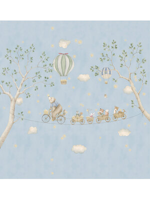 Cute Walls- Skybound Adv. 265x280cm - CW6138-1
