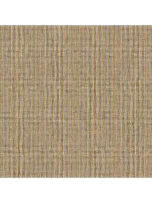 Textura- Pique Beige/Black - 66131