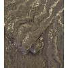 Textura- Tinos Charcoal - 66163 Textura- Tinos Charcoal - 66163