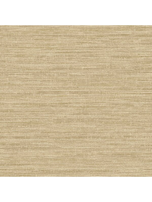 Textura- Rete Beige - 66204