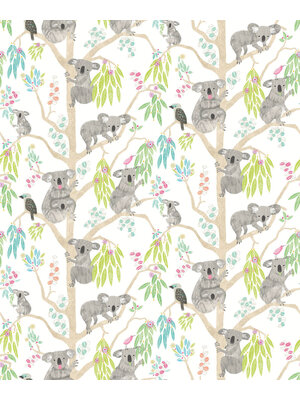 When I Grow Up - Kooka Koala Candy Apple - WGU50127W