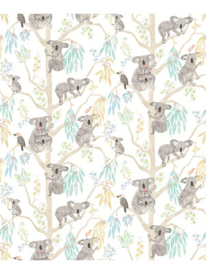 When I Grow Up - Kooka Koala Sky - WGU50129W