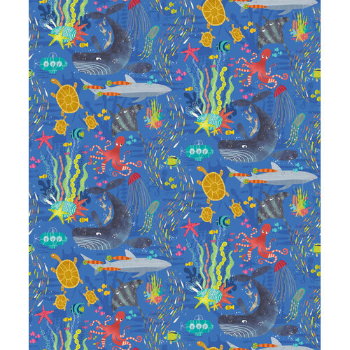 10,05m x 50cm 10,05m x 50cm