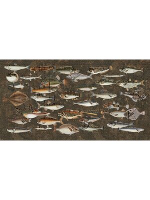 Muance Fotobehang Underwater - MU15061 Muance Fotobehang Underwater - MU15061