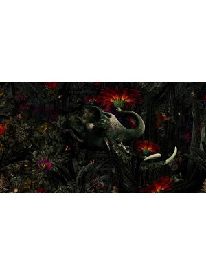 Muance Fotobehang Mumba Kanda - MU13025 Muance Fotobehang Mumba Kanda - MU13025