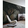Muance Fotobehang Galaxy nights - MU11058