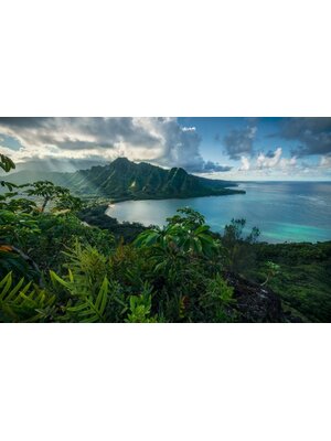 Komar Stefan Hefele; Komar Wanderlust Fotobehang Jurassic Island - SHX9-117 Komar Stefan Hefele; Komar Wanderlust Fotobehang Jurassic Island - SHX9-117