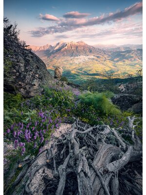 Komar Stefan Hefele; Komar Wanderlust Fotobehang Flowering Tales - SHX4-130
