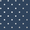 World of Imagination - DL27584 - Starry Motif Navy/Silver