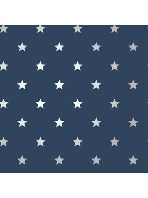 World of Imagination - DL27584 - Starry Motif Navy/Silver World of Imagination - DL27584 - Starry Motif Navy/Silver