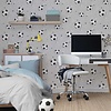 World of Imagination - DL27590 - Footballs Grey