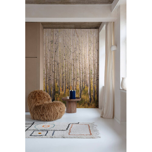 2,8m x 1,59m