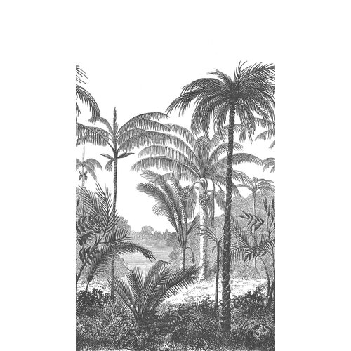2,8m x 1,59m