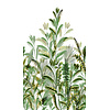 Orom 2 - A59502 - Vegetal Sobre 159x280cm