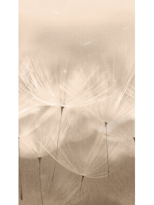 Orom 2 - 203801 - Dandelion 159x280cm