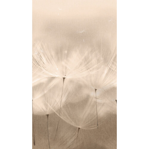 2,8m x 1,59m