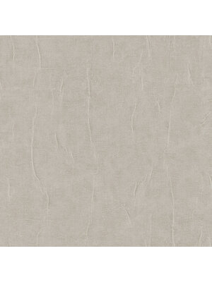 Renaissance 2 - RE521083 - Water marked fabric taupe Renaissance 2 - RE521083 - Water marked fabric taupe