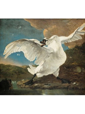 Painted Memories 2 - 8039 - The Endangered Swan