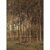 Painted Memories 2 - 8040 - Autumn Forrest