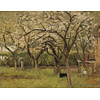 Painted Memories 2 - 8056 - Flowering Orchard