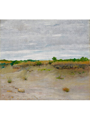 Painted Memories 2 - 8066 - Wind-Swept Sands