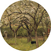 Painted Memories 2 - 8056C - Circle Flowering Orchard