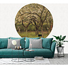 Painted Memories 2 - 8056C - Circle Flowering Orchard