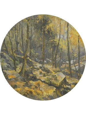 Painted Memories 2 - 8091C - Circle Felsenmeer