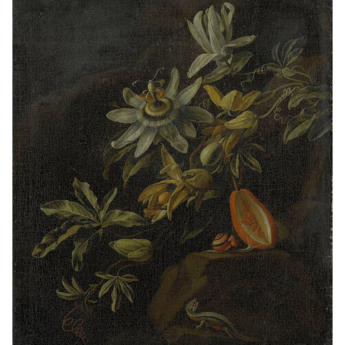 2,7m x 2,5m