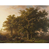 Painted Memories 1 - 8010 - Forest