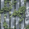 Illusion - M889-09 - Hout/Klimop Blauw/Groen