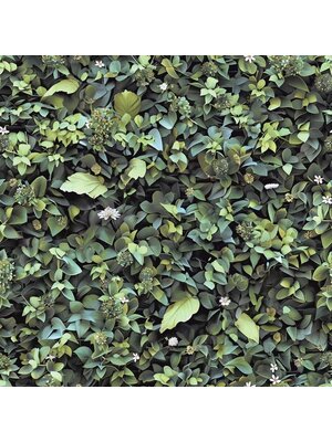 Illusion - M891-04 - Bladeren Groen Illusion - M891-04 - Bladeren Groen