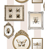 Illusion - M895-07 - Lijstjes/Insecten Beige