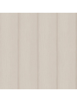 Adventure Awaits - 13991 - Tongue & Groove Beige