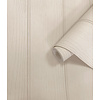 Adventure Awaits - 13991 - Tongue & Groove Beige