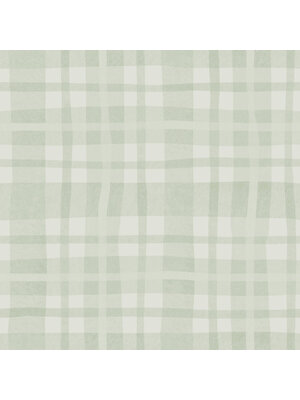 Adventure Awaits - 14000 - Ivy Plaid Sage Adventure Awaits - 14000 - Ivy Plaid Sage