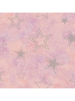 Adventure Awaits - 14060 - Stardust Pink/Silver Adventure Awaits - 14060 - Stardust Pink/Silver