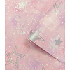 Adventure Awaits - 14060 - Stardust Pink/Silver