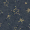 Adventure Awaits - 14061 - Stardust Midnight Blue/Gold