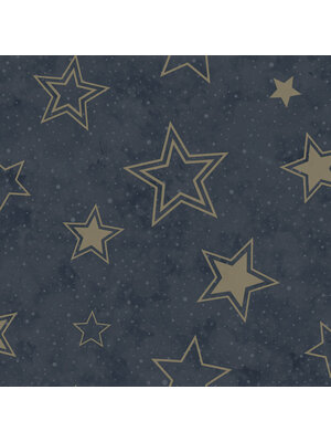 Adventure Awaits - 14061 - Stardust Midnight Blue/Gold Adventure Awaits - 14061 - Stardust Midnight Blue/Gold