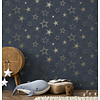 Adventure Awaits - 14061 - Stardust Midnight Blue/Gold