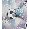 Adventure Awaits - 14091 - Football Frenzy Lilac/Silver