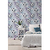 Adventure Awaits - 14091 - Football Frenzy Lilac/Silver