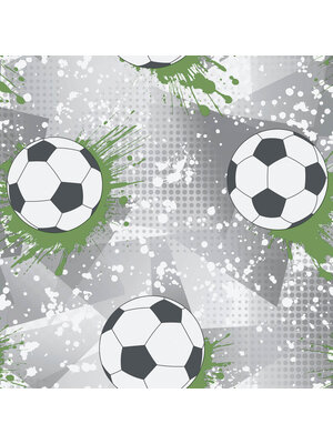 Adventure Awaits - 14092 - Football Frenzy Grey/Green