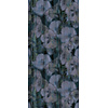 Eijffinger Canvas - 313571