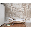 Forest Friends - 159064 Forest Friends - 159064