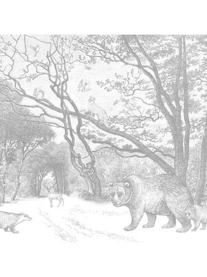 Forest Friends - 159065 Forest Friends - 159065