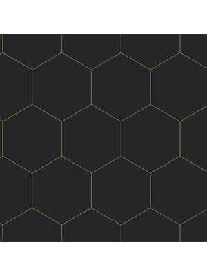Bloom - 160-139313 Bloom - 160-139313