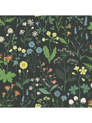Bloom - 160-139392