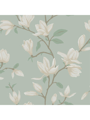 Bloom - 160-139405 Bloom - 160-139405